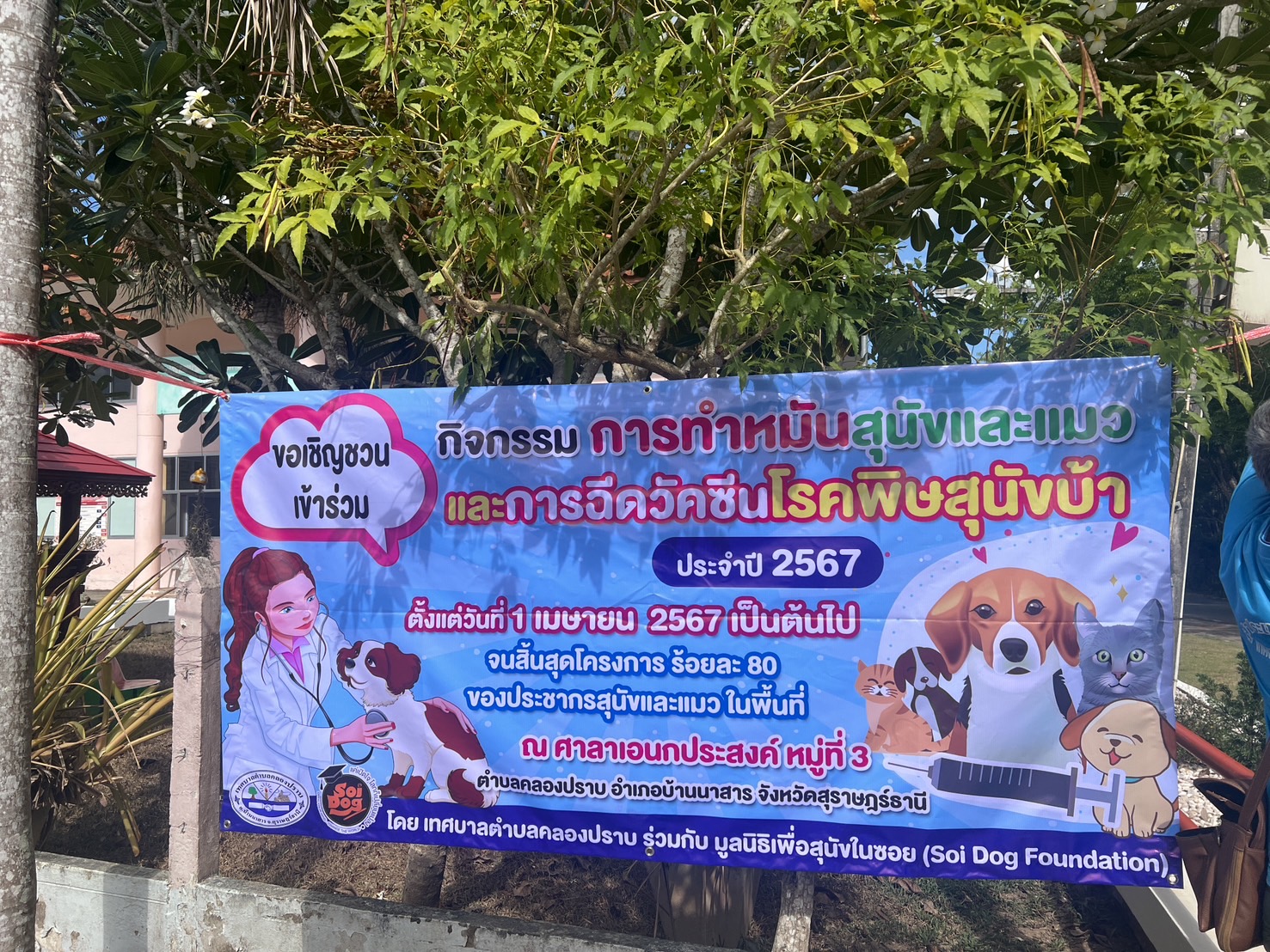 กิจกรรมการทำหมันสุนัขและแมวและการฉีดวัคซีนโรคพิษสุนัขบ้า ประจำปี 2567